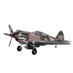 FMS FMM075PX P-40B Flying Tiger 980mm PNP with Reflex